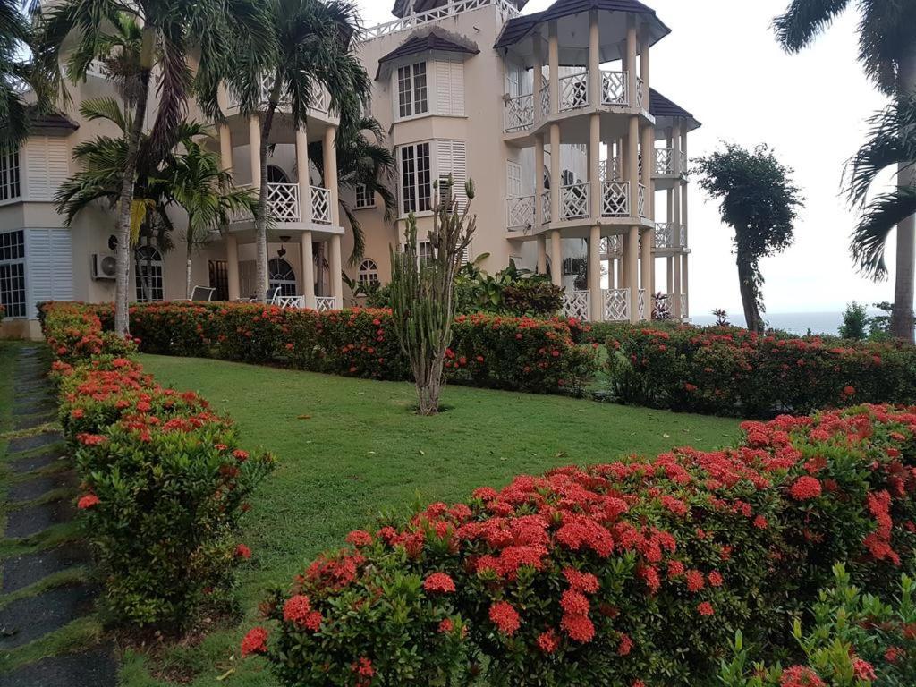 Chill On The Hill Apartment Ocho Rios Exterior photo